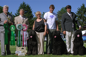 Fairy, Mars and Vlada after the First BRTCC national Specialty in 2010